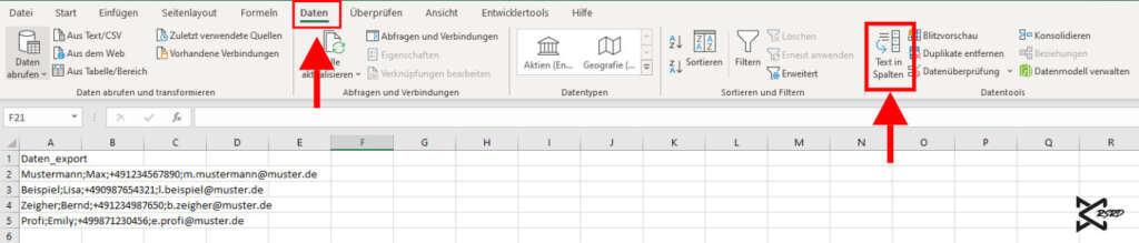 5_Excel_Tipps_Text_in_Spalten_01_Rohdaten